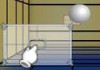Ping Pong